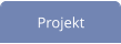 Projekt